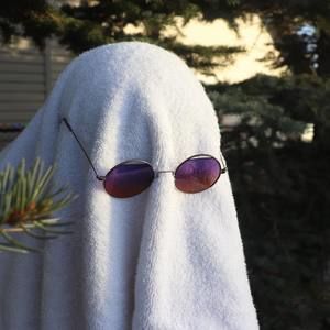 Meet your Posher, Meg